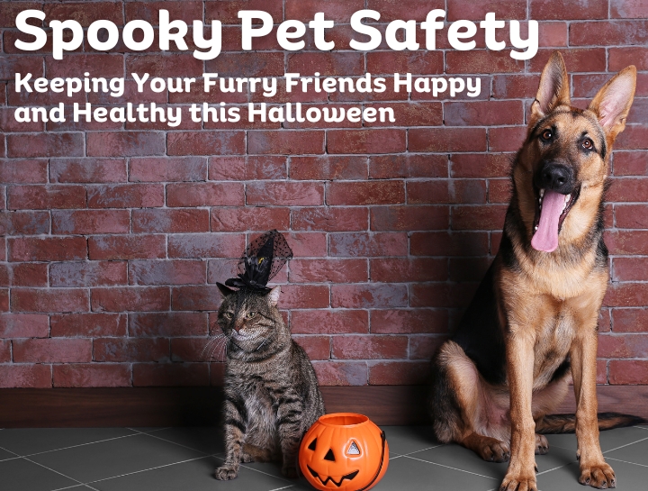 Spooky Pet Safety: Keeping Your Furry Friends Happy and Healthy this Halloween