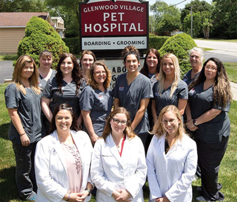 Glenwood IL veterinary hospital