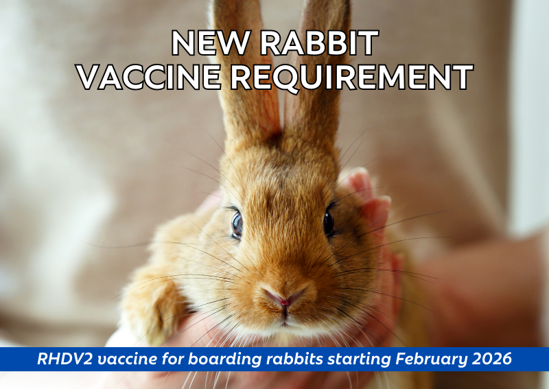 Carousel Slide 2: Learn More >