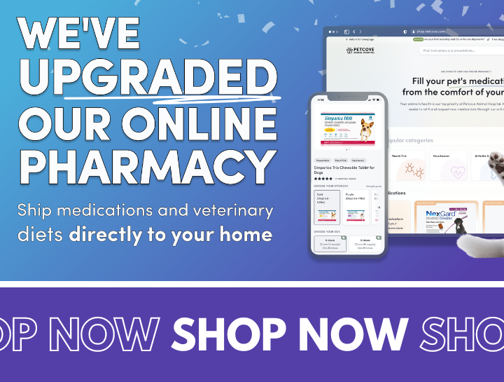 Online Pharmacy Update