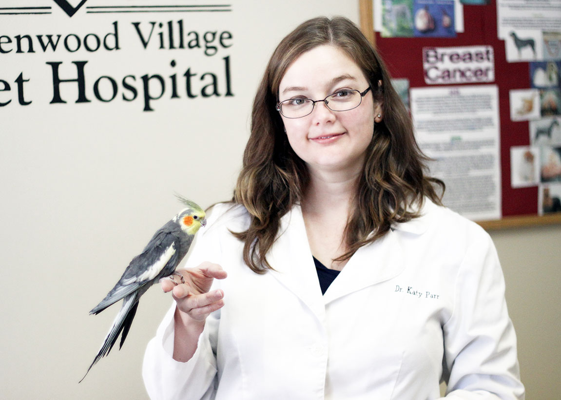 Dr. Katy Parr with Parakeet